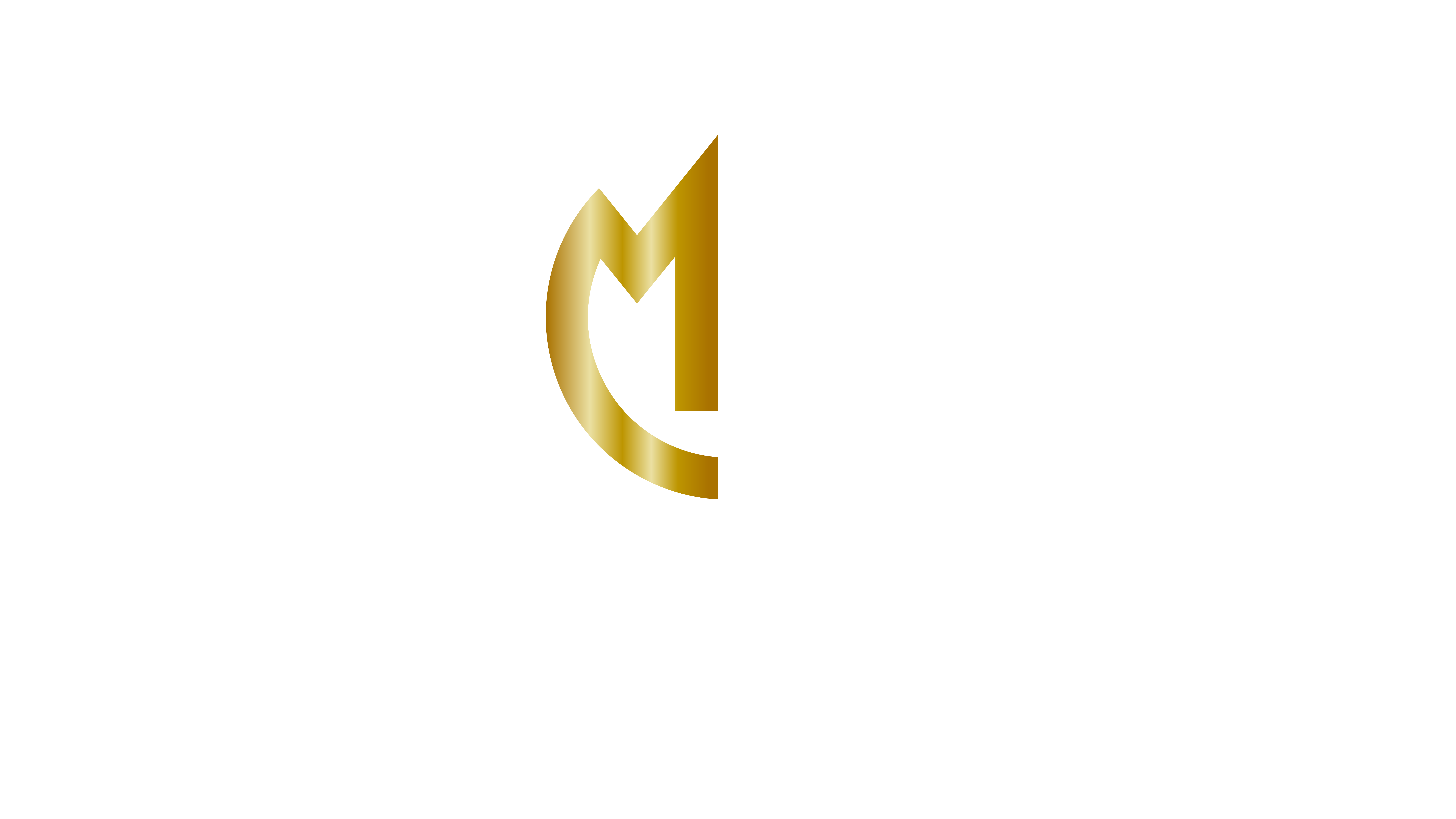 MISTER DRIVER
